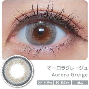 COLOR MAJORITY 1Day Aurora Greige カラーマジョリティー オーロラグレージュ